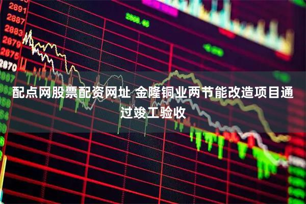 配点网股票配资网址 金隆铜业两节能改造项目通过竣工验收
