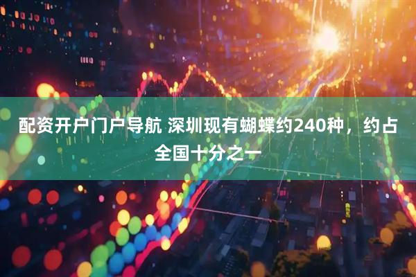 配资开户门户导航 深圳现有蝴蝶约240种，约占全国十分之一